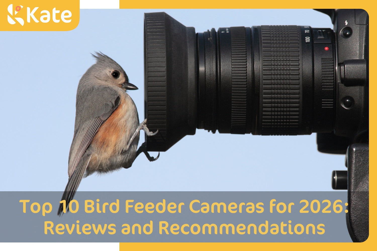 bird stands in front of lens Photo by Steve Byland on shutterstock