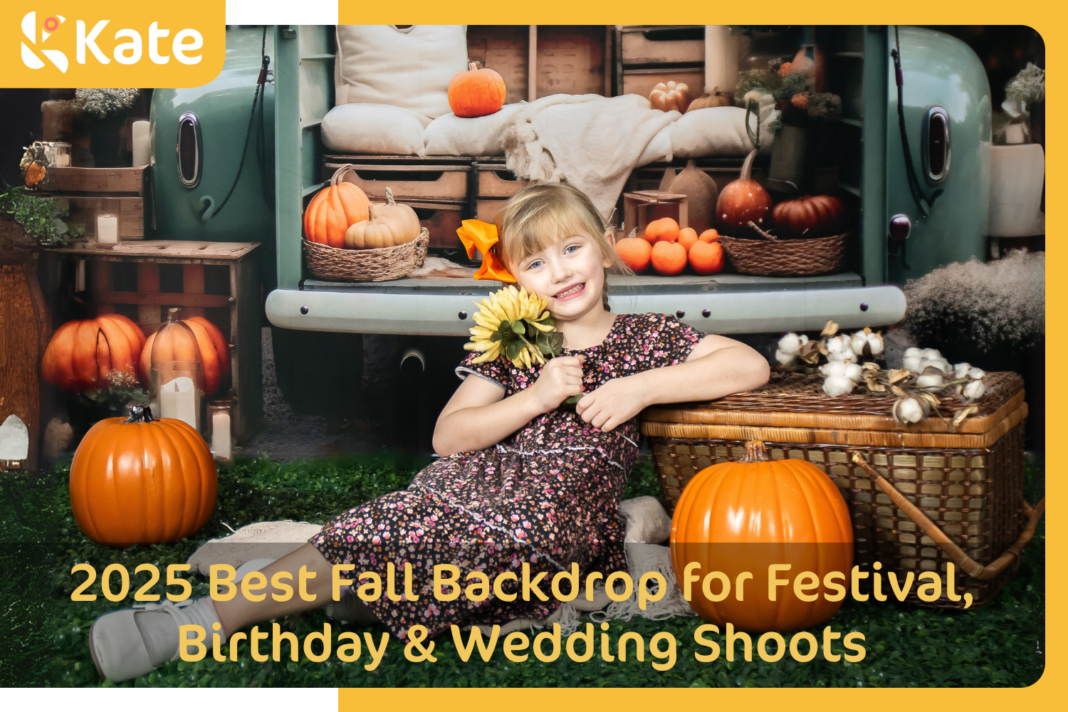 2025 Top Fall Backdrops for Festival, Birthday & Wedding Shoots