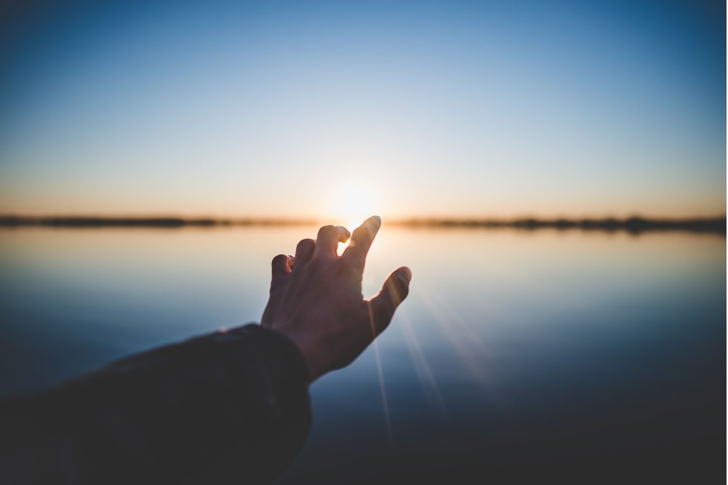 Grasp the sunlight with your hands Photo by Marc Olivier Jodoin on unsplash