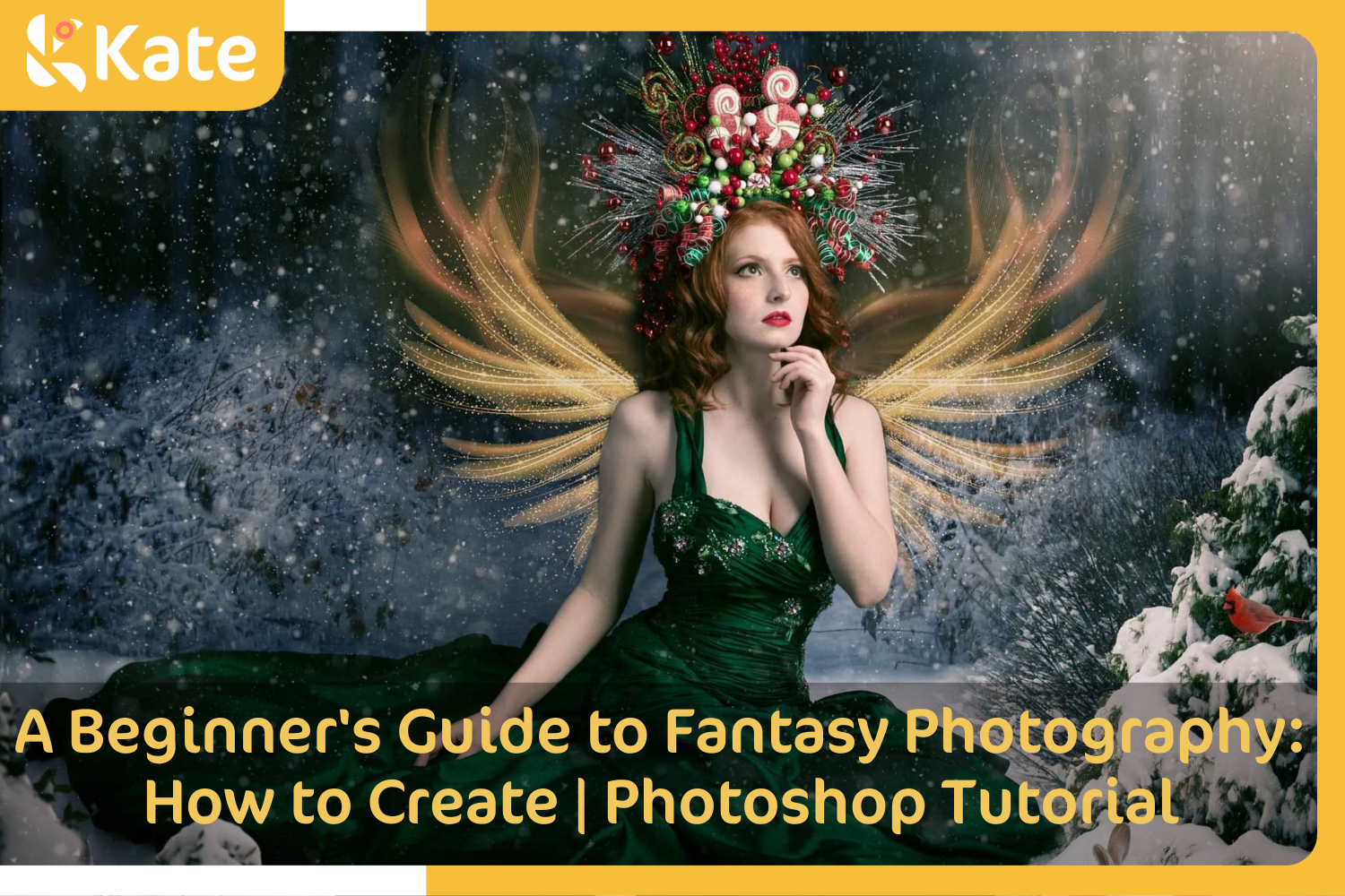 a fairy maiden with Kate Winter Dream Christmas Night Trees Backdrop for Photography Designed By Jerry_Sina
