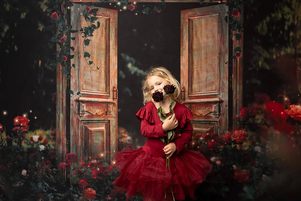 Door & Window Theme Backdrops