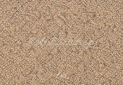 Kate Brown Pebble Floor Printed Backdrop Designed by Megan Leigh Photography
