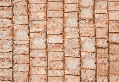 Kate Dark Beige Path Floor Printed Backdrop Designed by Kate Image