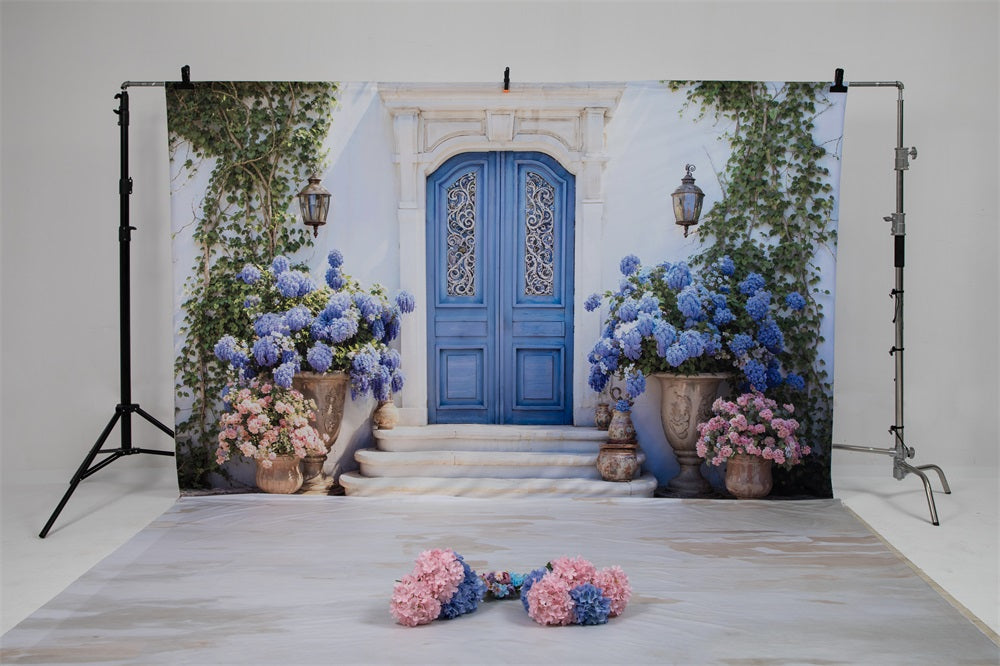 Kate Spring Blue Photo Kit Photography Backdrops&Props Themed Bundle