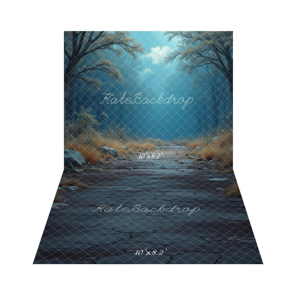 TEST Kate Misty Forest Path Blue Printed Backdrop+Dark Cobblestone Pathway Rocks Grass Floor Printed Backdrop