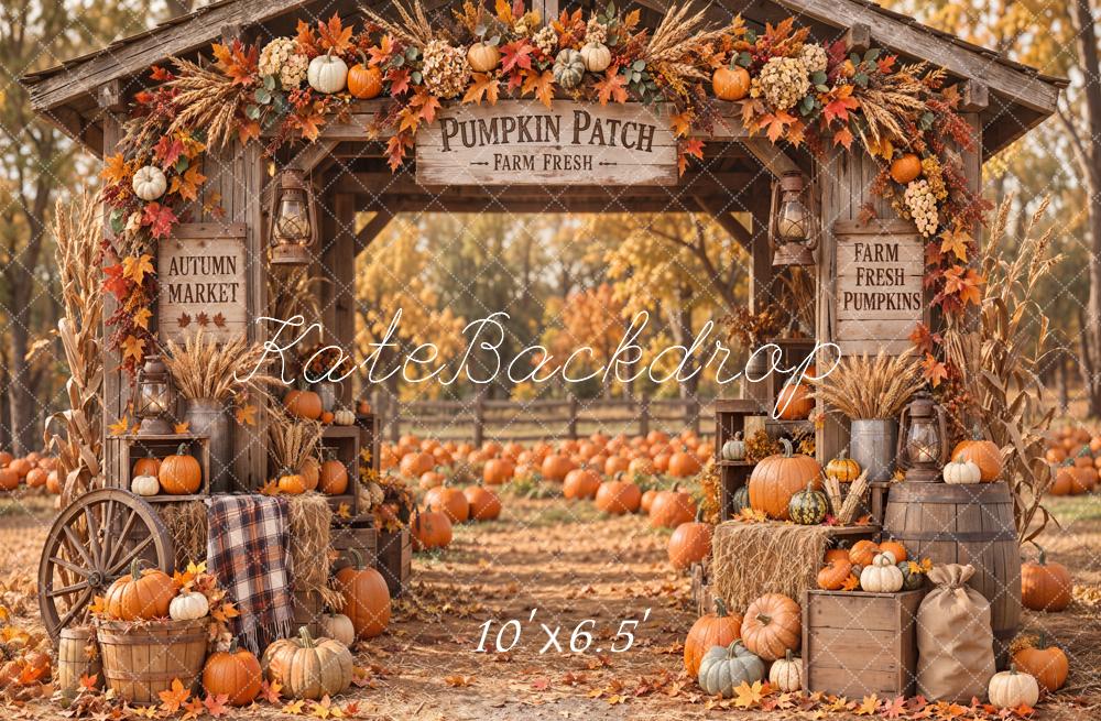 Kate Fall Pumpkin Patch Rustic Farm Arch Printed Backdrop Designed by Emetselch