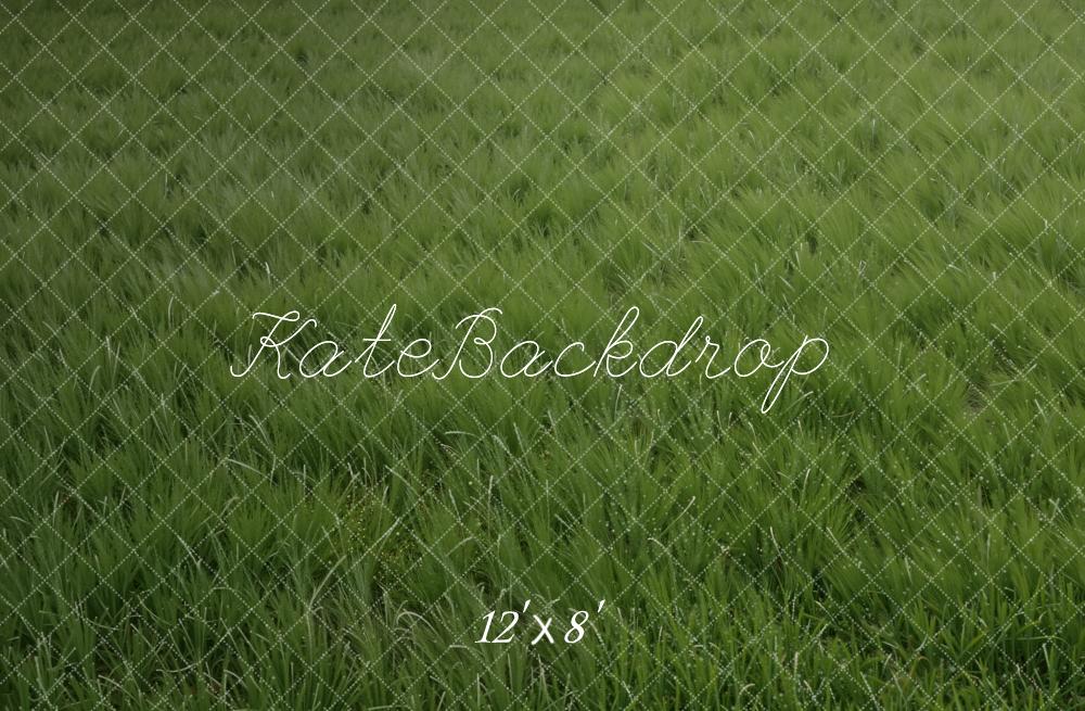 Kate Green Grass Field Floor Printed Backdrop Designed by Kate Image
