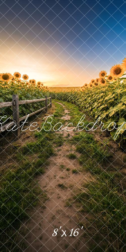 Kate Sweep Summer Sunflower Field Dirt Path Sunset Printed Backdrop Designed by Happy Squirrel Design