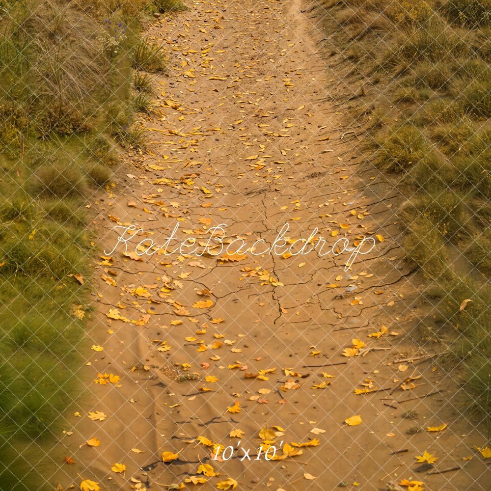 Fondo de hojas de camino de otoño césped