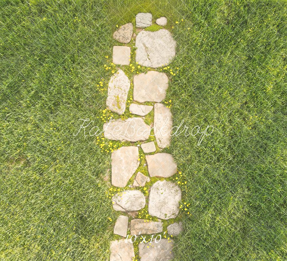 Kate Spring Stone Path In Green Grass Floor Backdrop Designed by Kate Image