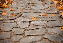 Kate Fall Leaves and Gray Cobblestone Road Floor Printed Backdrop Designed by Emetselch