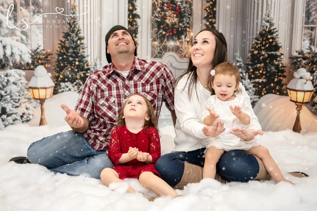 Kate Christmas Vintage Grand White Marble Arch Door Backdrop Designed by Emetselch