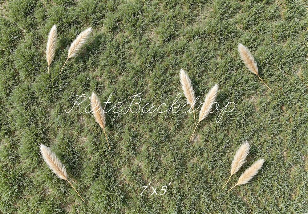 Kate Green Grass Pampas Grass Floor Printed Backdrop Designed by Mini MakeBelieve