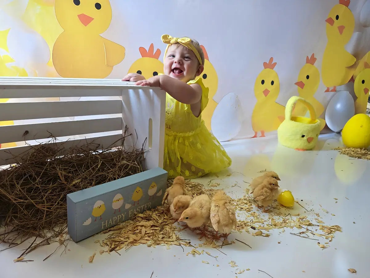 Kate Cake Smash Yellow Chicks Eggs Backdrop Designed by Patty Roberts