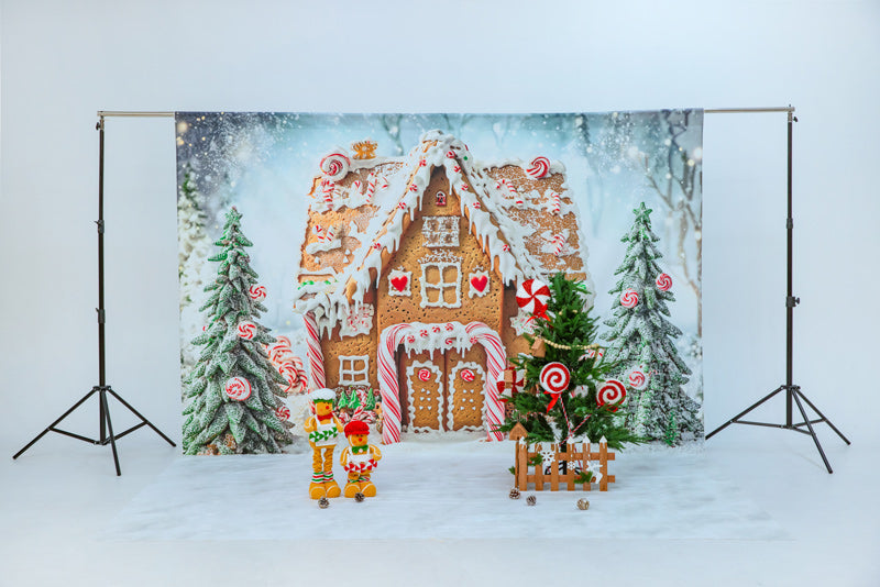 RTS Kate Christmas Gingerbread House Photo Kit Photography Backdrops&Props Themed Bundle
