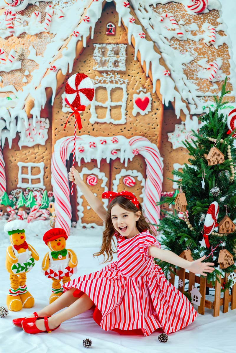 RTS Kate Christmas Gingerbread House Photo Kit Photography Backdrops&Props Themed Bundle