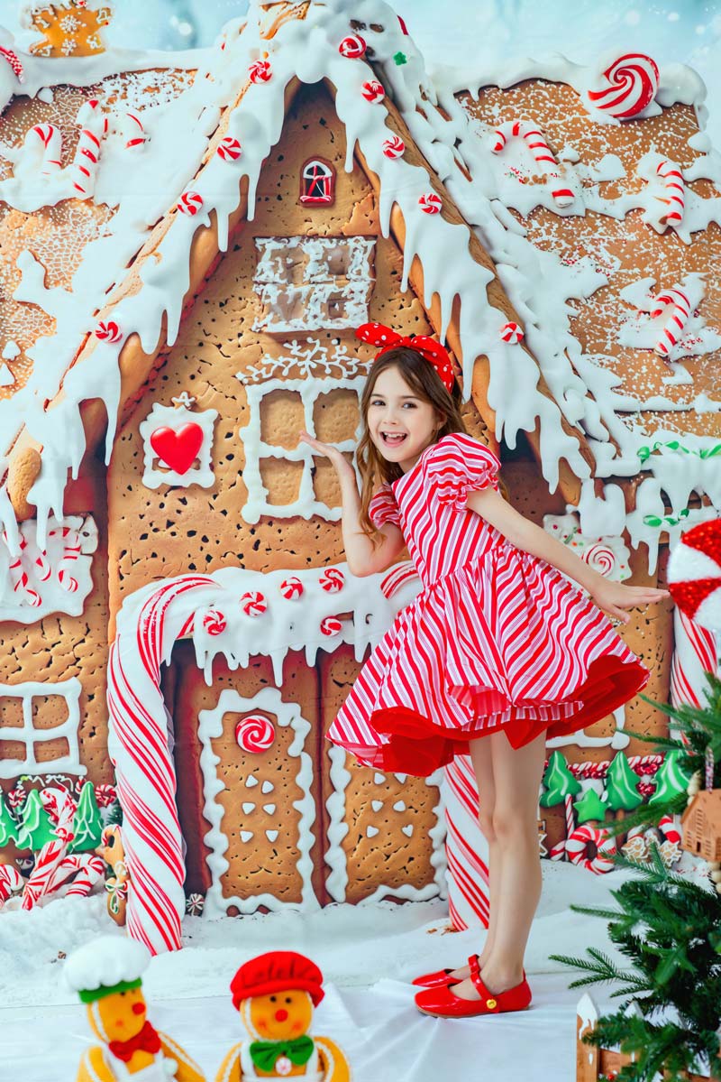 RTS Kate Christmas Gingerbread House Photo Kit Photography Backdrops&Props Themed Bundle