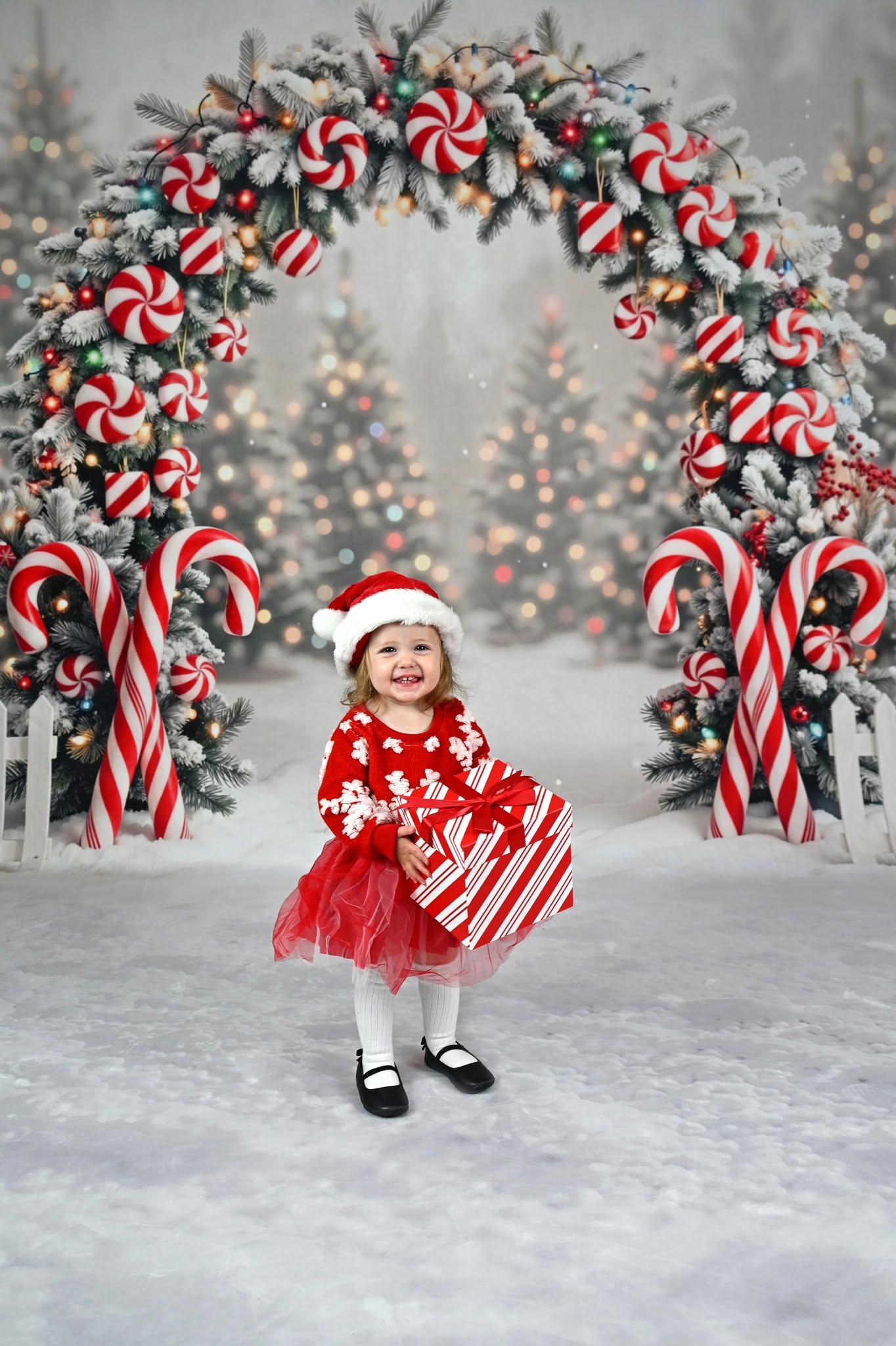 Kate Christmas Candy Cane Flower Arch Snow Printed Backdrop Designed by Emetselch