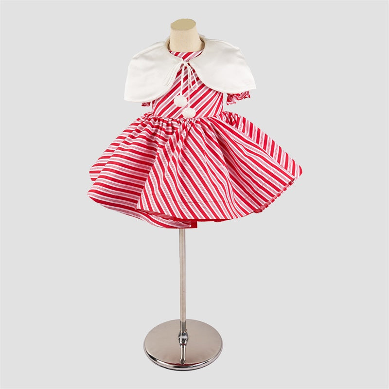 RTS Kate Winter Christmas Tree Camper RV Gifts Photo Kit Photography Backdrops&Props Themed Bundle