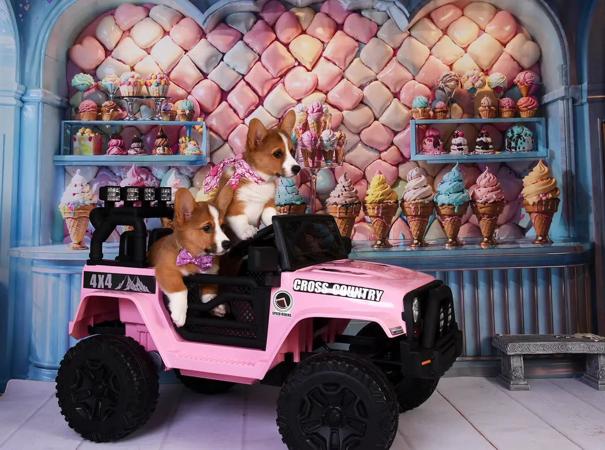 Zomerse moderne kleurrijke ijswinkel achtergrond ontworpen door Chain Photography