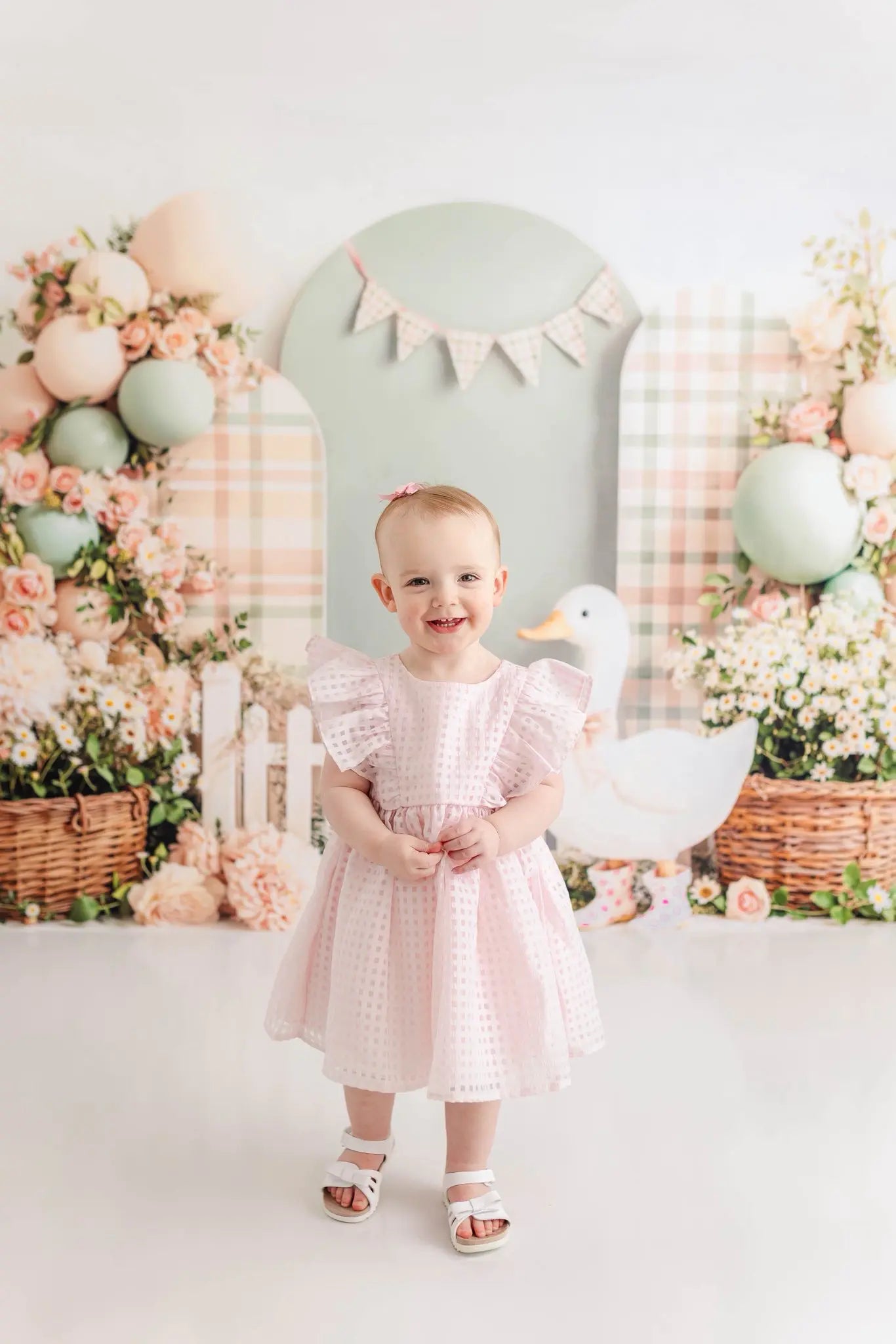 Kate Cake Smash Silly Goose Flower Arch Plaid Balloons Picket Fence Backdrop Designed by Emetselch