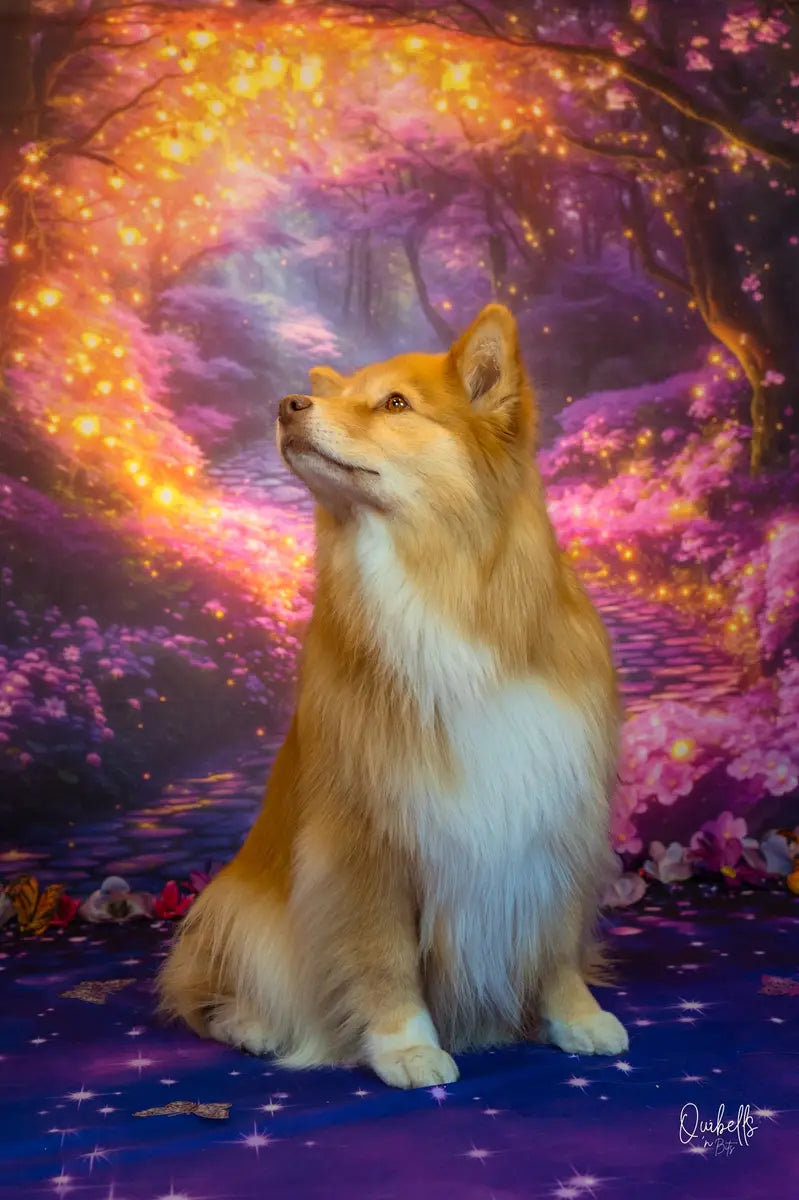 Kate Fairy Tale Fantasy Forest Lights Arch Backdrop Designed by Emetselch