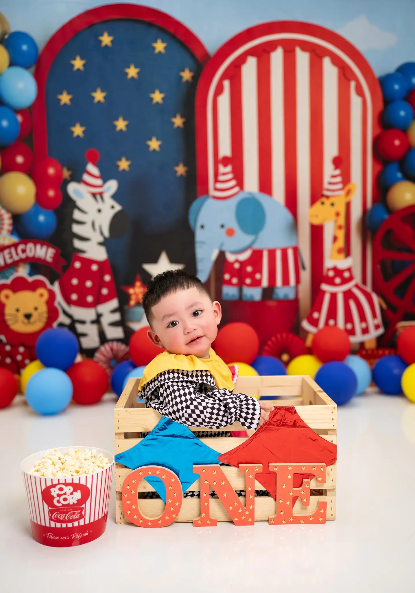 Kate Cake Smash Circus Animals Balloon Printed Backdrop Designed by Mini MakeBelieve