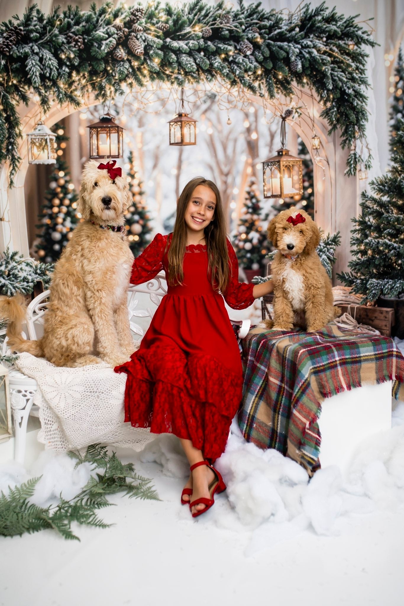 Kerstboog Guirlande Sneeuwbomen Foto Achtergrond Designed by Emetselch