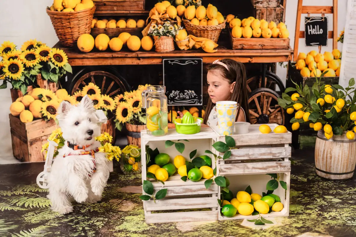 Kate Summer Lemon Sunflower Market Backdrop Designed by Emetselch