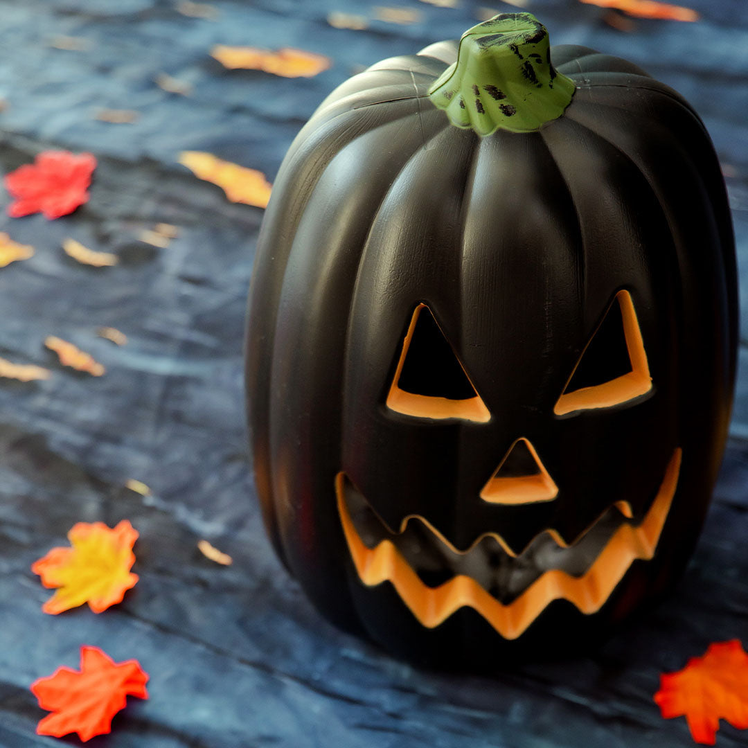 RTS Kate Halloween Dark Castle Photo Kit Photography Backdrops&Props Themed Bundle