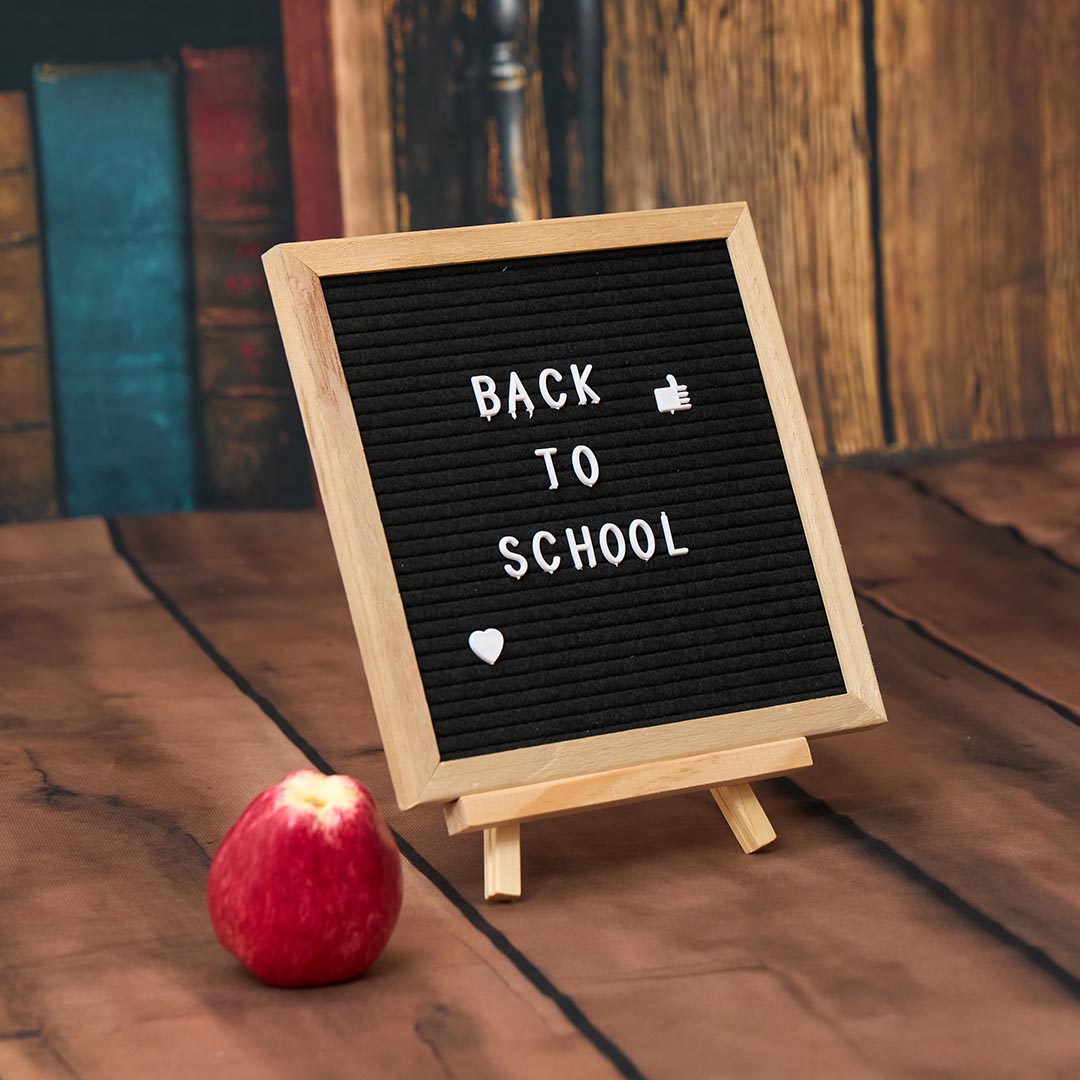Kate Back to School Chalkboard Globe Photo Kit Photography Backdrops&Props Themed Bundle