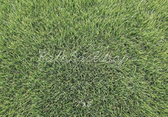 Kate Green Grass Texture Floor Printed Backdrop Designed by Mini MakeBelieve