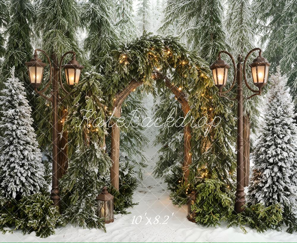 Kate Winter Lantern Arch Snowy Pine Trees Backdrop Designed by Emetselch
