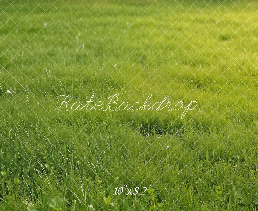 Kate Summer Green Grass Field Printed Backdrop Designed by Emetselch