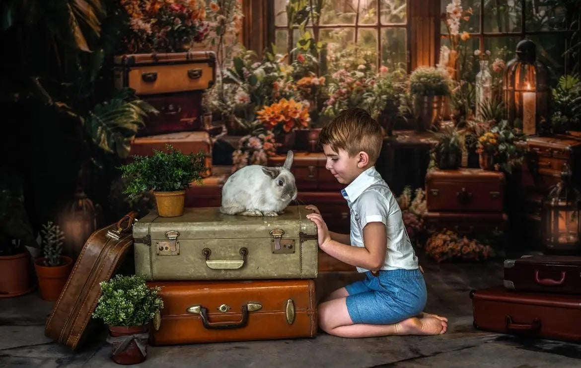 Lente Groene Plant Venster Foto Achtergrond Ontworpen door Chain Photography