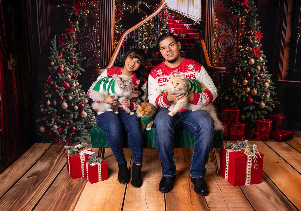 Kate Christmas Tree Arch Vintage Stairs Room Set