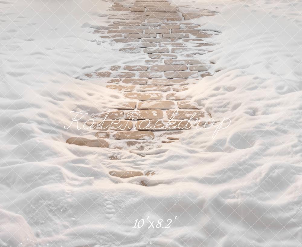 Kate Winter Snow Covered Cobblestone Path Printed Backdrop Designed by Emetselch