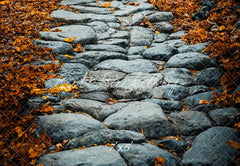 Fall Klinker Pad Foto Achtergrond Designed by Emetselch