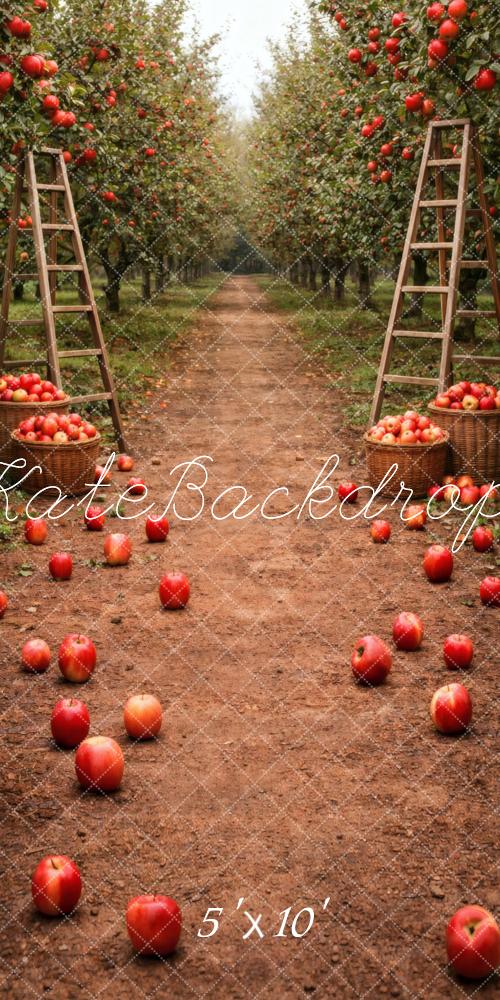 Kate Sweep Apple Orchard Path Ladders Baskets Printed Backdrop Designed by Vertigo Productions