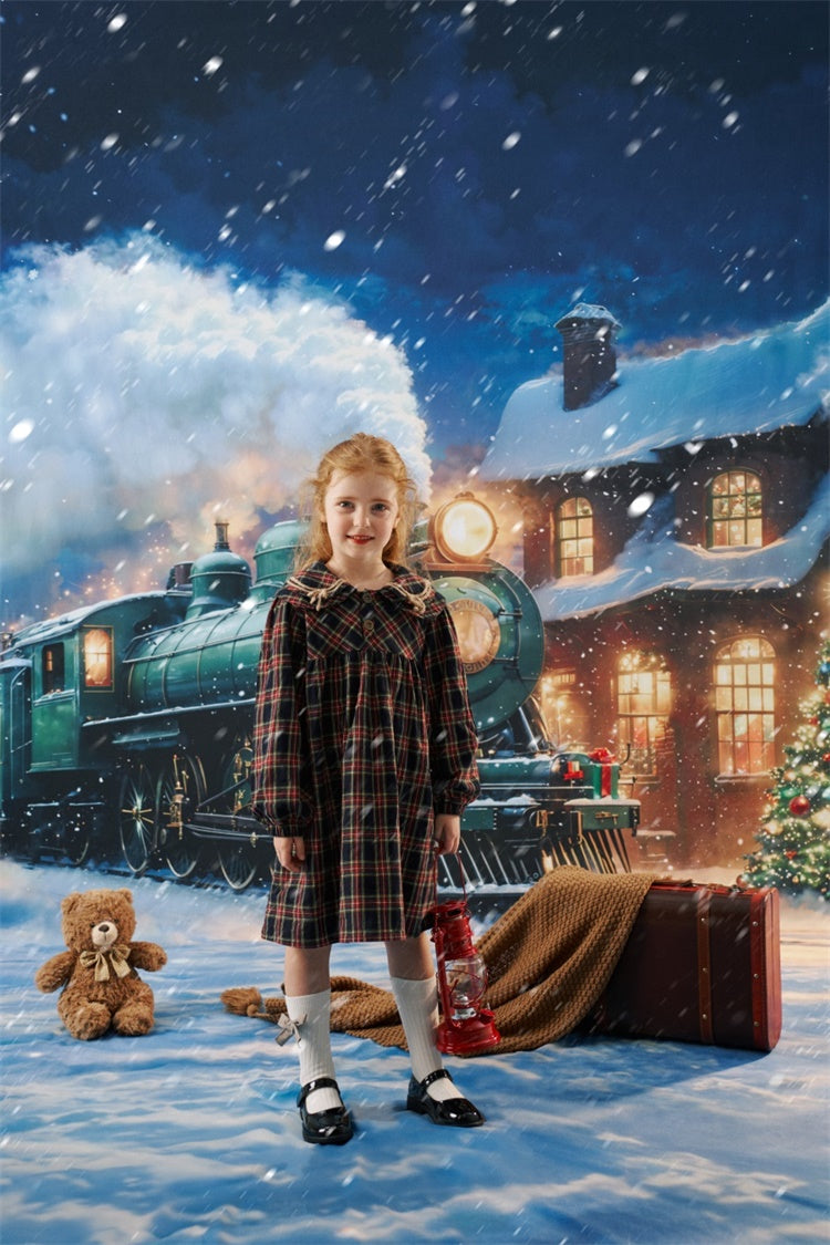 Kate Christmas Brown Basic Kids Plaid Dress