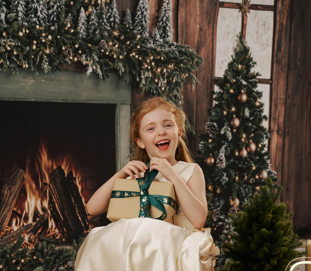 RTS Kate Christmas Fireplace Photo Kit Photography Backdrops&Props Themed Bundle
