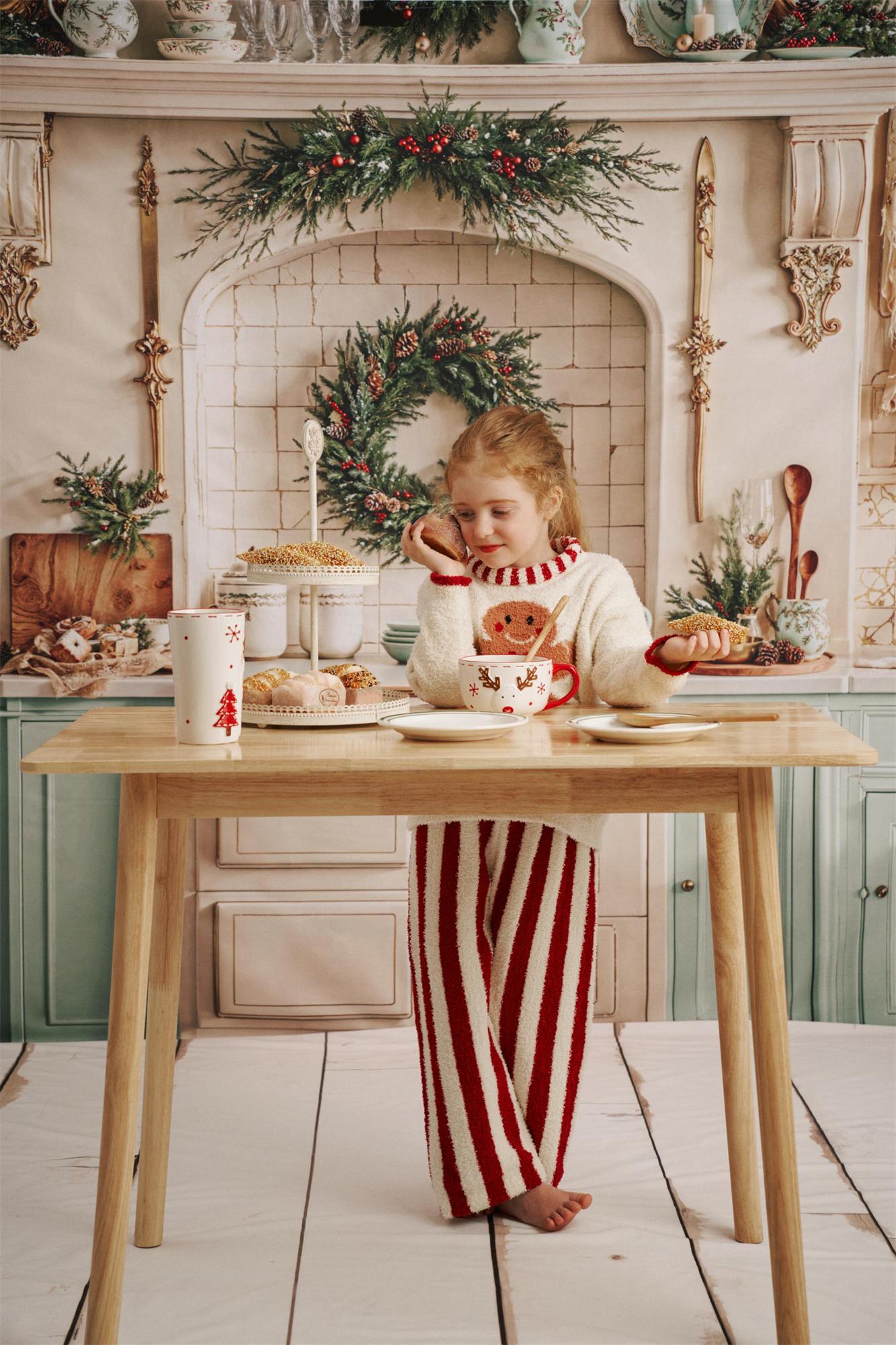 Kate Christmas Kitchen Photo Kit Photography Backdrops&Props Themed Bundle