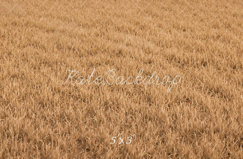 Kate Fall Withered Grass Field Floor Printed Backdrop Designed by Kate Image