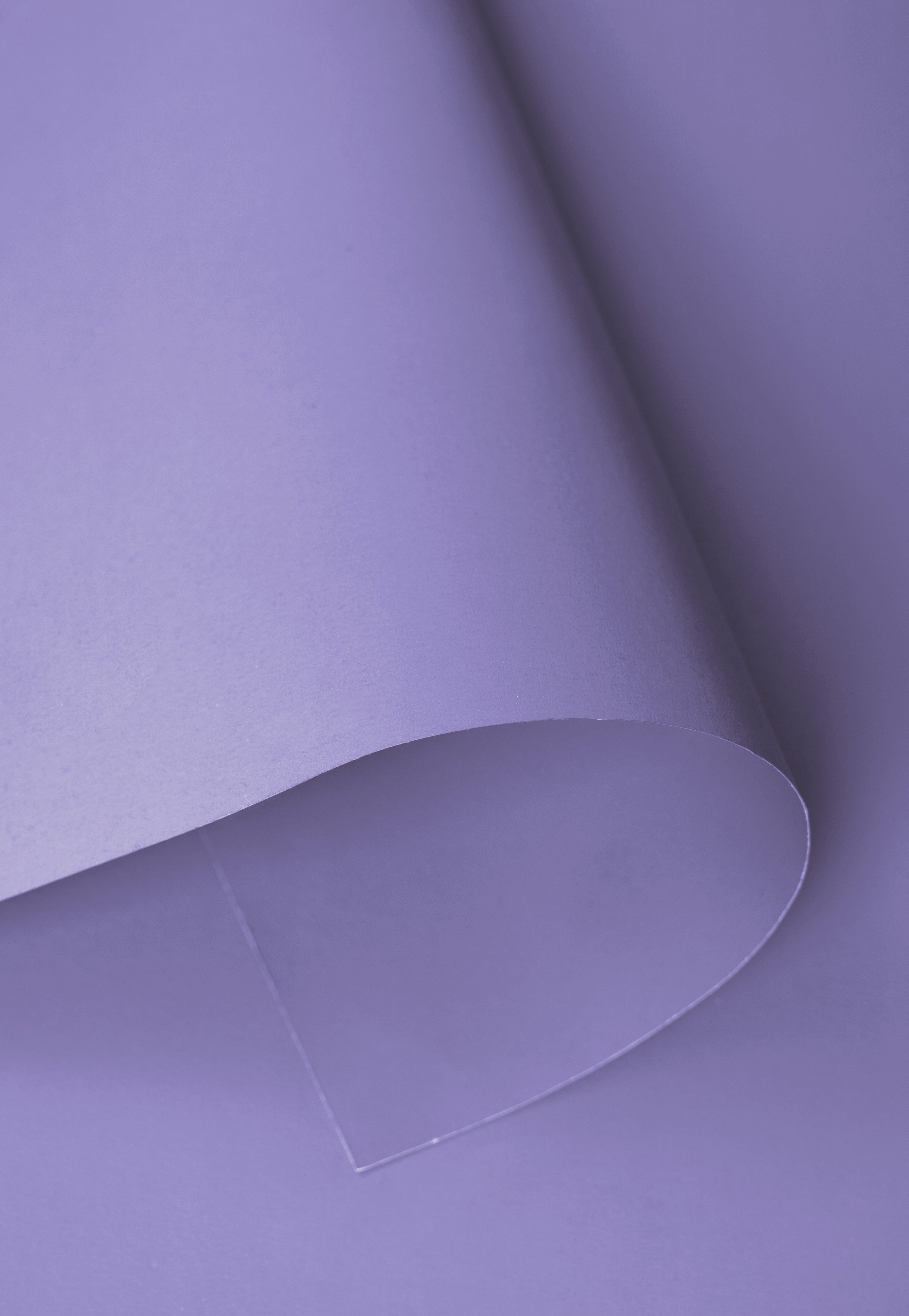 Kate Thistle Purple Seamless Paper Backdrop for Photography