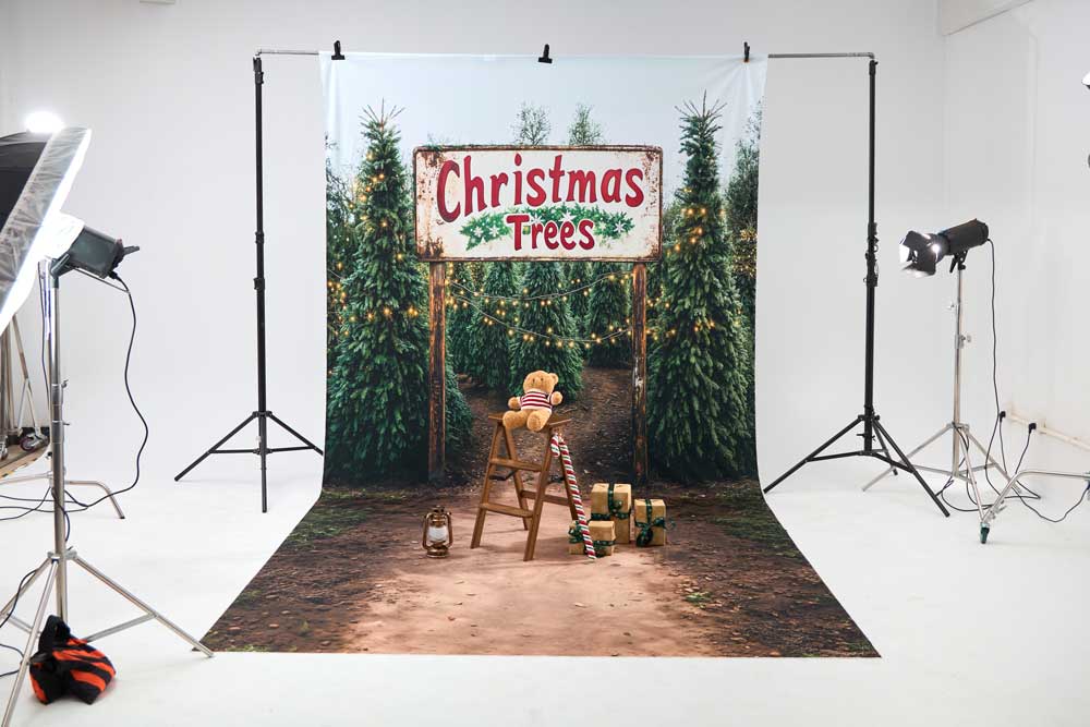 RTS Kate Winter Wild Christmas Tree Gifts Farm Photo Kit Photography Backdrops&Props Themed Bundle