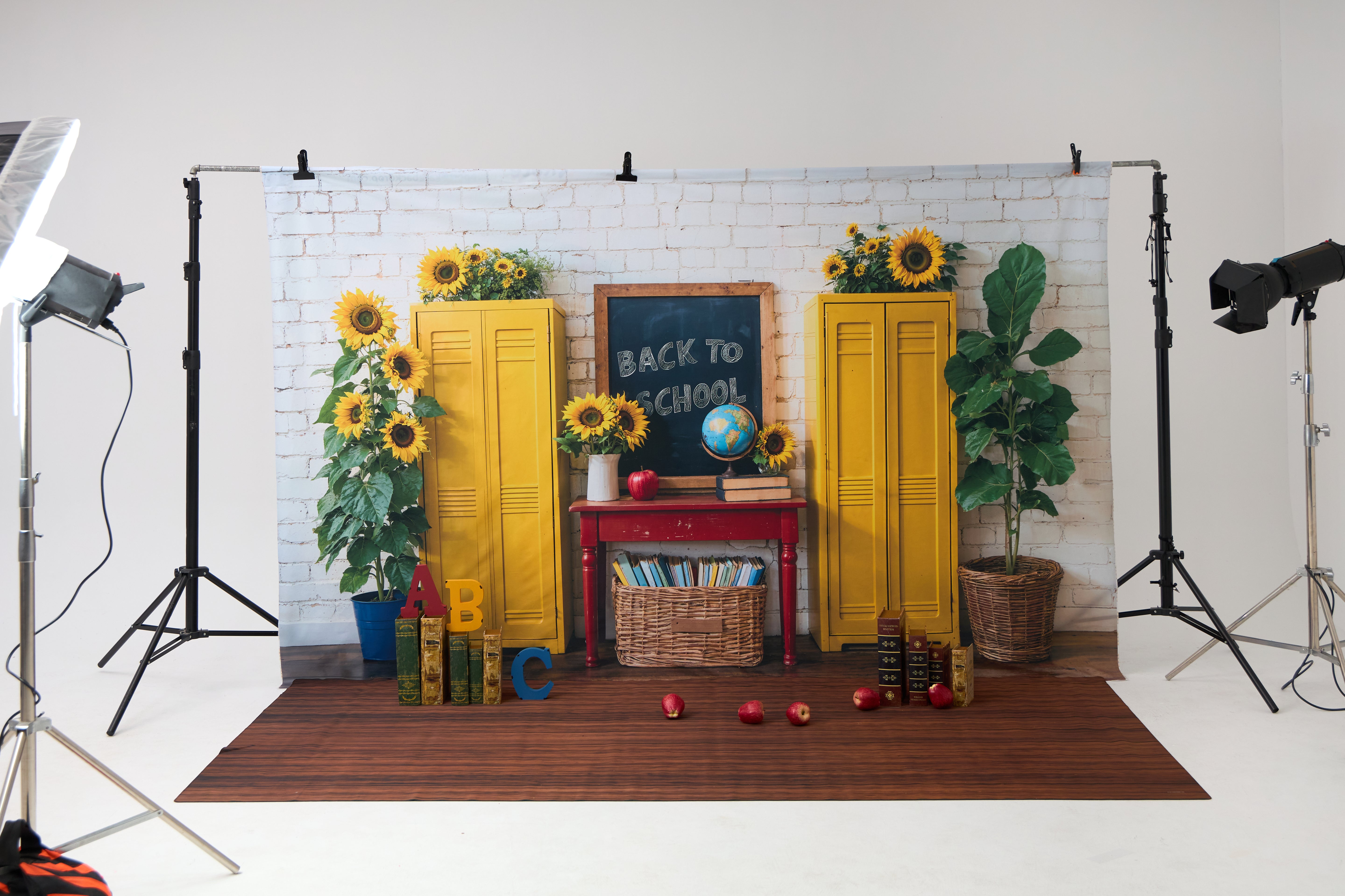 RTS Kate Back to School Blackboard ABC Photo Kit Photography Backdrops&Props Themed Bundle