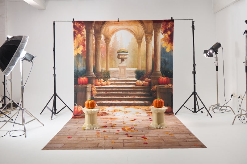 RTS Kate Fall Walkway Pumpkin Photo Kit Photography Backdrops&Props Themed Bundle