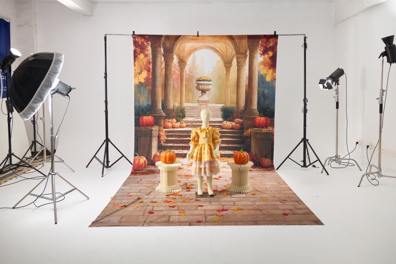 RTS Kate Fall Walkway Pumpkin Photo Kit Photography Backdrops&Props Themed Bundle