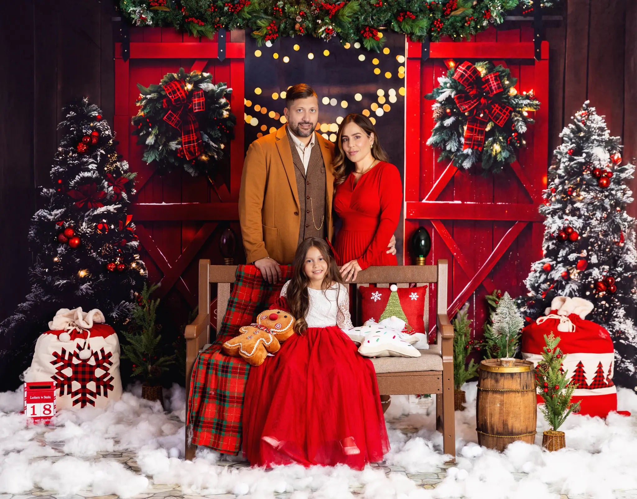 Kate Christmas Night Red Barn Door Backdrop Designed by Emetselch