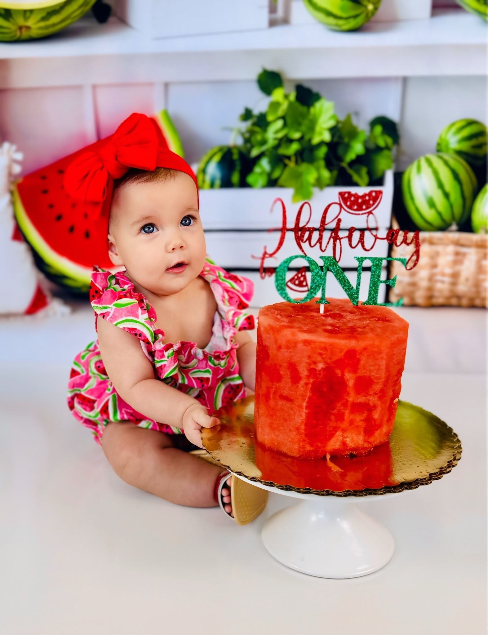 Kate Summer Watermelon Picnic Bunting Backdrop Designed by Emetselch